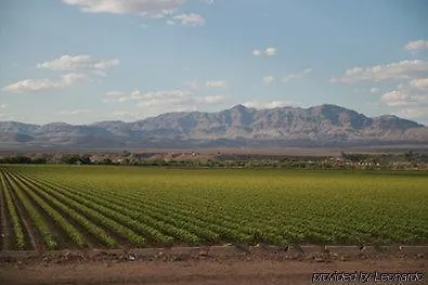 Western Desert Inn