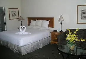 Inn Western Desert 3*